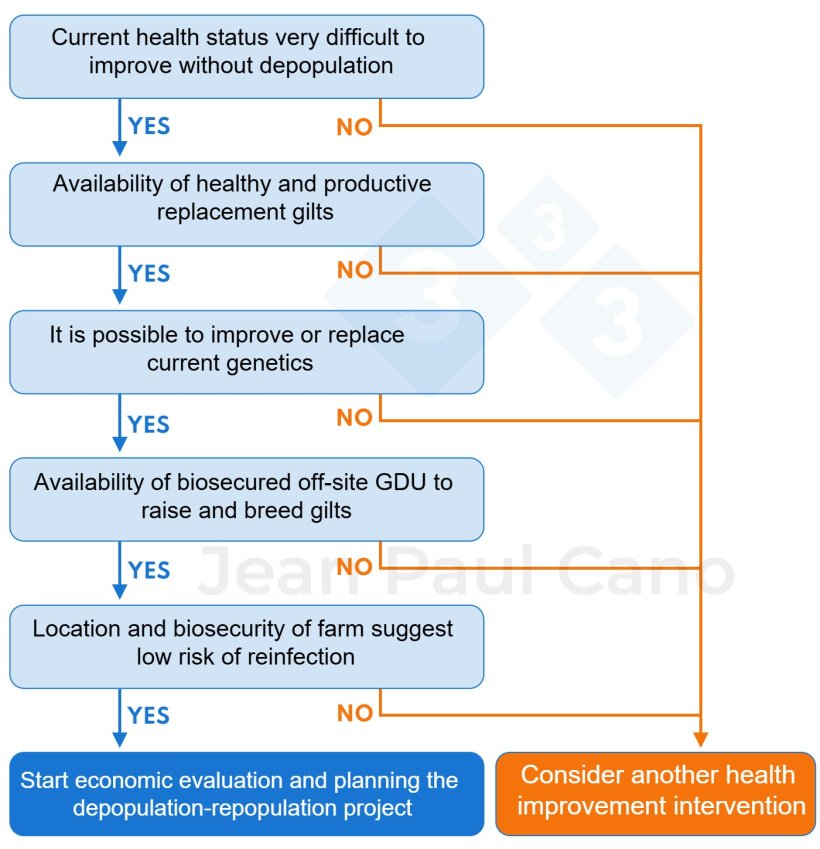 Figure 1. Decision tree to assess the feasibility of carrying out a depopulation–repopulation project. Is depopulation-repopulation of interest to my farm?
